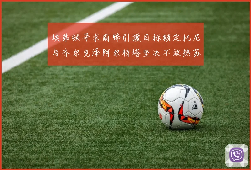 埃弗顿寻求前锋引援目标锁定托尼与齐尔克泽阿尔特塔坚决不放热苏斯